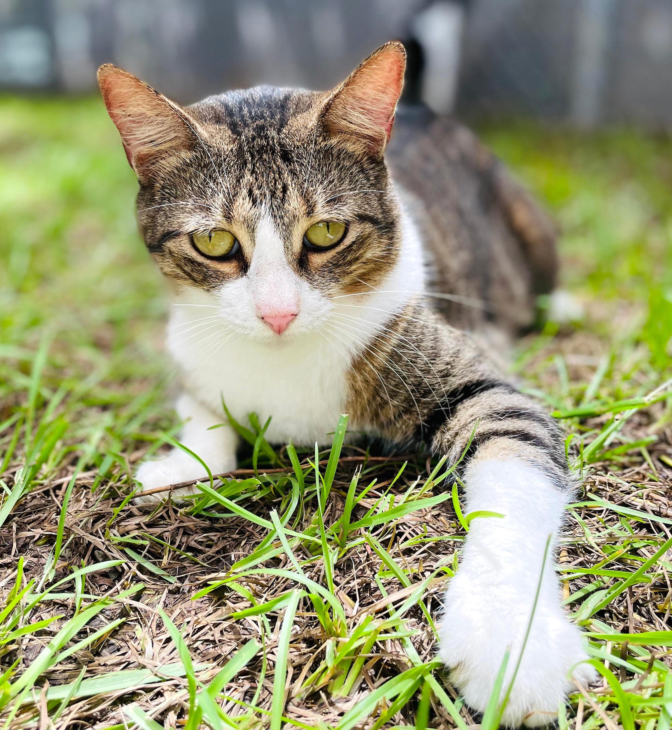 Luisa in the grass.